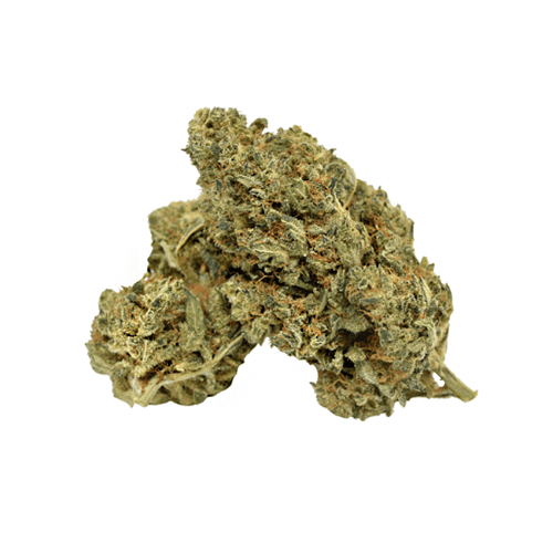 Candy Melon 0.2 Indoor